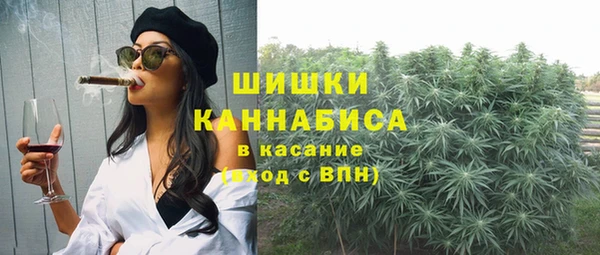 дурь Алзамай