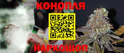 сатива Шахты