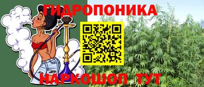 сатива Шахты