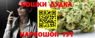 сатива Шахты