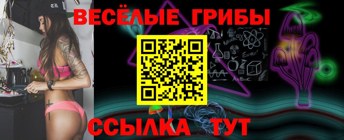 Омск  Галлюциногенные грибы Magic Shrooms  Вход с VPN 