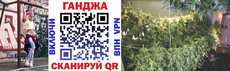 Бошки Шишки Amnesia  Омск 